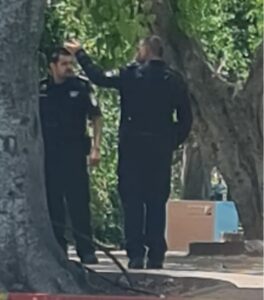 משטרה, שוטרים במרכז רחובות, אילוסטרציה, צילום: רחובות ניוז