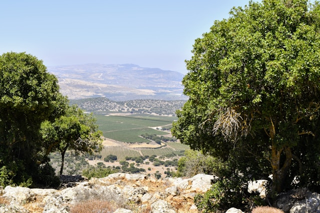 אירוח בקיבוץ