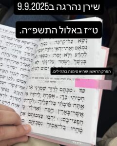 צילום מסך מתוך הסטורי של שירלי לוי