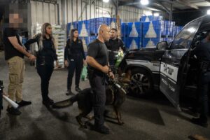 תפיסת השב"חים בשוק הסיטונאי צילום: פרטי