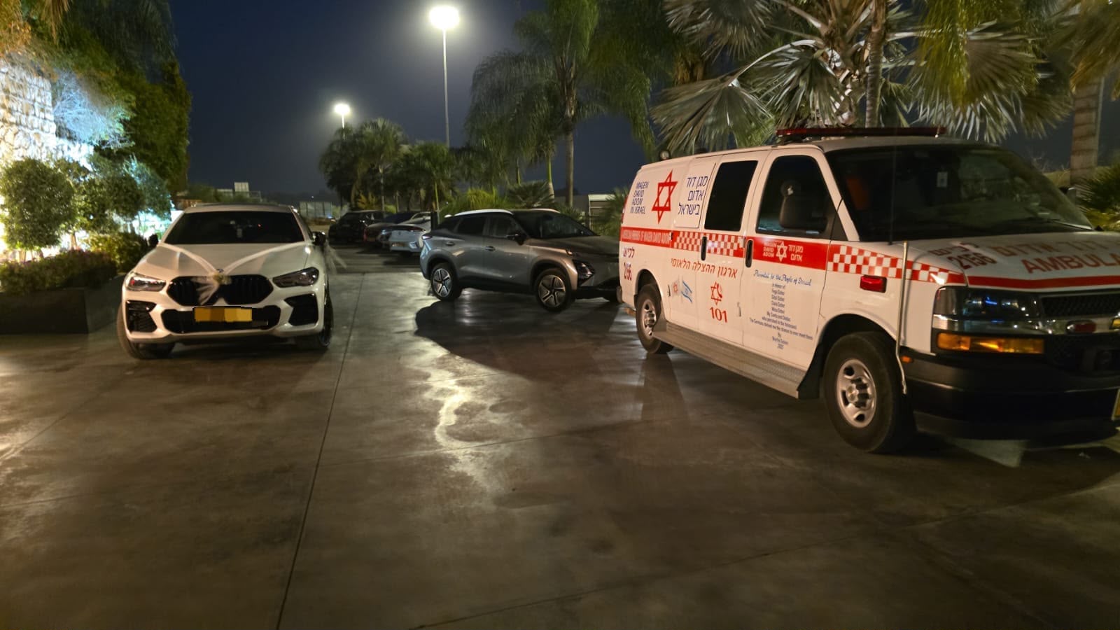 צילום: מד"א